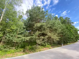 Lesní pozemek Mladošovice, okres České Budějovice