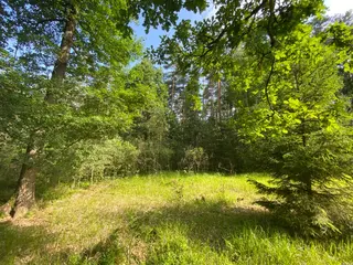 Lesní pozemek Mladošovice, okres České Budějovice