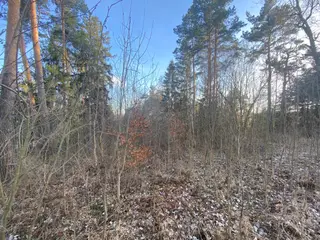 Lesní pozemek p.č. 1599 Rovensko, okres Šumperk