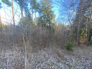 Lesní pozemek p.č. 1600 Rovensko, okres Šumperk