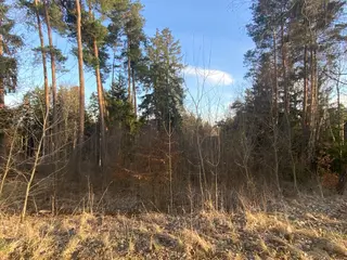 Lesní pozemek p.č. 1600 Rovensko, okres Šumperk