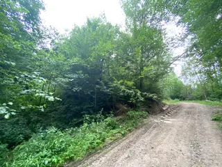 Lesní pozemek p.č. 194/4 Jestřebíčko, okres Šumperk