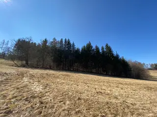 Lesní pozemek Horní Studénky p.č. 515/5 , okres Šumperk 