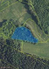 Lesní pozemek Horní Studénky p.č. 515/5 , okres Šumperk 