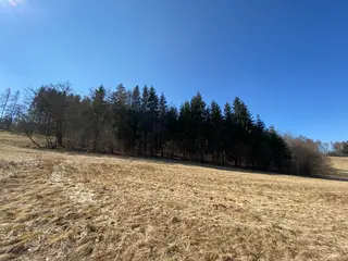 Lesní pozemek p.č. 515/5 Horní Studénky, okres Šumperk