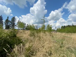 Lesní pozemek p.č. 609 Bítovánky, okres Třebíč