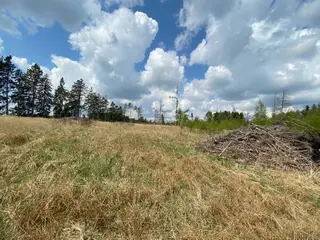 Lesní pozemek p.č. 609 Bítovánky, okres Třebíč
