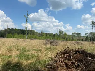 Lesní pozemek p.č. 609 Bítovánky, okres Třebíč