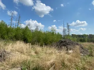 Lesní pozemek p.č. 609 Bítovánky, okres Třebíč