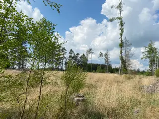 Lesní pozemek p.č. 609 Bítovánky, okres Třebíč