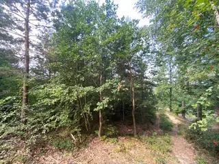 Lesní pozemek p.č. 78/1 Vrbatův Kostelec, okres Chrudim
