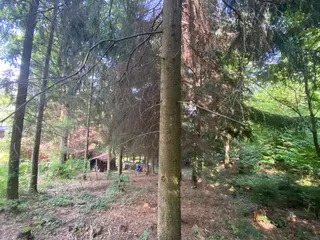 Lesní pozemek p.č. 78/1 Vrbatův Kostelec, okres Chrudim