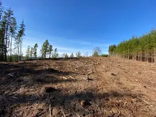Lesní pozemek p.č. 795 Pecka, okres Jičín