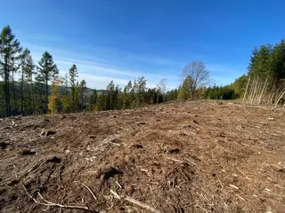 Lesní pozemek p.č. 795 Pecka, okres Jičín