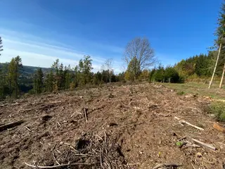 Lesní pozemek p.č. 795 Pecka, okres Jičín