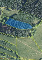 Lesní pozemek p.č. 795 Pecka, okres Jičín