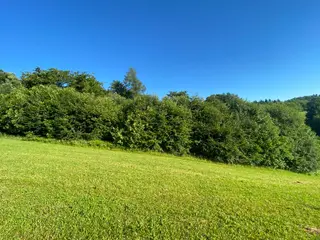 Lesní pozemek p.č. 826 Horní Studénky, okres Šumperk