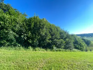 Lesní pozemek p.č. 826 Horní Studénky, okres Šumperk