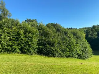 Lesní pozemek p.č. 826 Horní Studénky, okres Šumperk