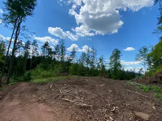 Lesní pozemek p.č. 889 Horní Dobrouč, okres Ústí nad Orlicí