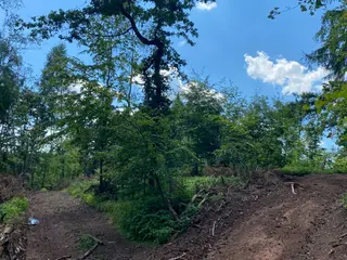Lesní pozemek p.č. 890 Horní Dobrouč, okres Ústí nad Orlicí