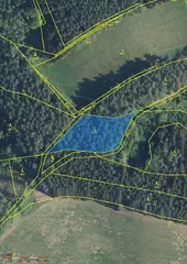 Lesní pozemek p.č. 890 Horní Dobrouč, okres Ústí nad Orlicí