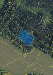 Lesní pozemek Rovensko p.č. 1087, okres Šumperk