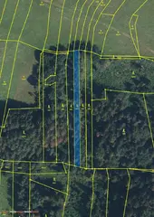 Lesní pozemek Rovensko p.č. 1599, okres Šumperk