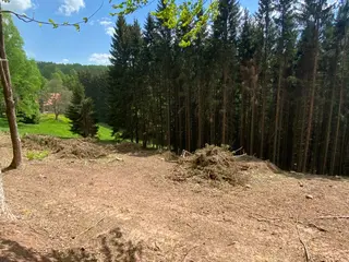 Lesní pozemek Vysoká Srbská, okres Náchod