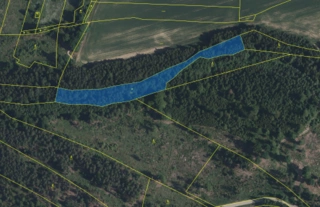 Lesní pozemky 22.535 m2, katastrální území Brandlín, Lázy, Sušno 