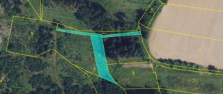 Lesní pozemky 22.535 m2, katastrální území Brandlín, Lázy, Sušno 