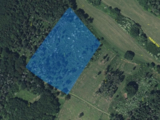 Lesní pozemky 22.535 m2, katastrální území Brandlín, Lázy, Sušno 