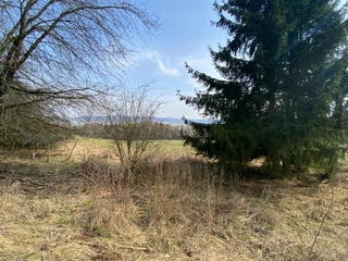 Lesní pozemky 22.535 m2, katastrální území Brandlín, Lázy, Sušno 
