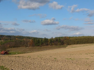 Lesní pozemky 32.154 m2 v k.ú. Přemyslovice