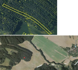 Lesní pozemky 32.154 m2 v k.ú. Přemyslovice