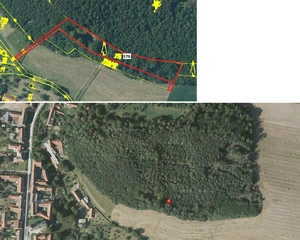Lesní pozemky 32.154 m2 v k.ú. Přemyslovice