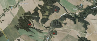 Lesní pozemky 32.154 m2 v k.ú. Přemyslovice