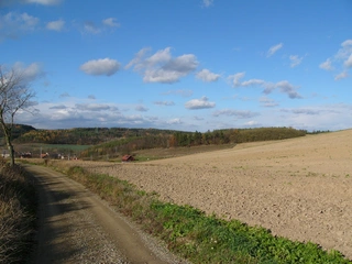 Lesní pozemky 32.154 m2 v k.ú. Přemyslovice