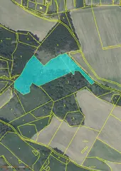 Lesní Pozemky 16.352 m2 Kúsky u Velkého Meziříčí (celek IV)