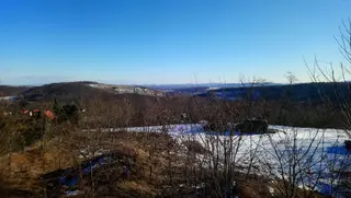 Lesní pozemky Nebovidy u Brna