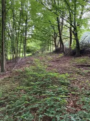 Lesní pozemky Pozděchov, okres Vsetín