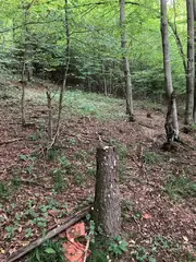 Lesní pozemky Pozděchov, okres Vsetín
