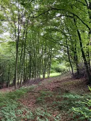 Lesní pozemky Pozděchov, okres Vsetín