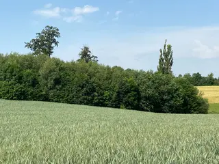 pozemek Zborov