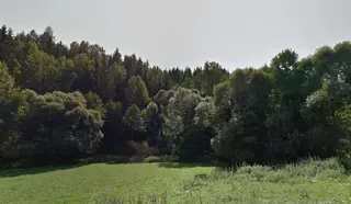 Lesy - Horní Olešnice
