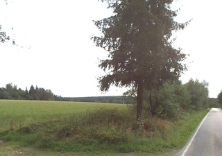 Lesy - Hostkovice u Třebětína, LESS & FOREST s.r.o.