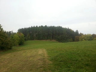 Lesy - Kněževes
