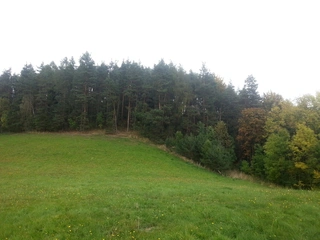 Lesy - Kněževes