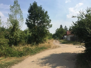 Lesy - Libiš, LESS & FOREST s.r.o.