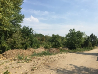 Lesy - Libiš, LESS & FOREST s.r.o.